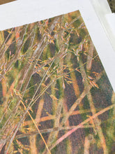 Tresses - Lola Primrose / Riso print